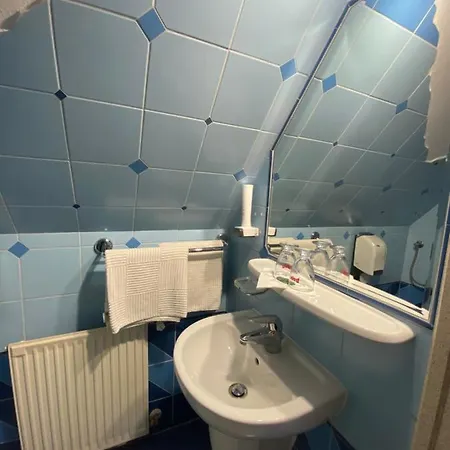 Fehér Hattyú Panzió 4*