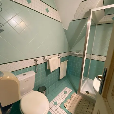 Bed & Breakfast Feher Hattyu Panzio Orosháza