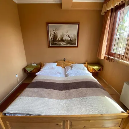 Fehér Hattyú Panzió