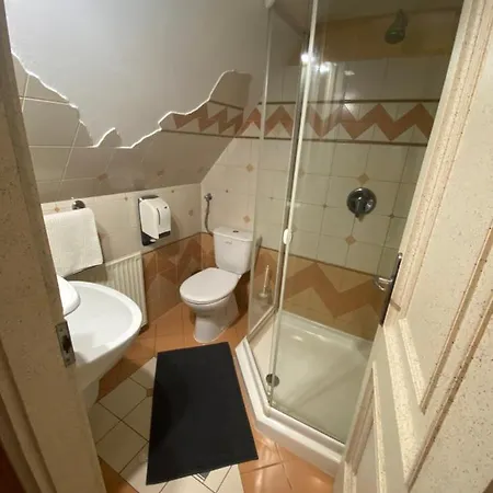 Fehér Hattyú Panzió Panzió