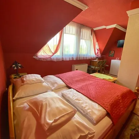 Feher Hattyu Panzio 4* Orosháza