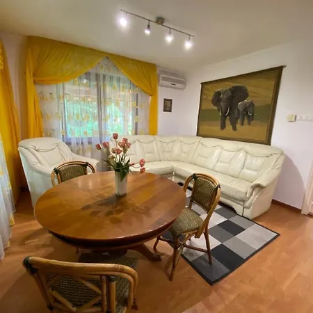 Fehér Hattyú Panzió 4* Orosháza