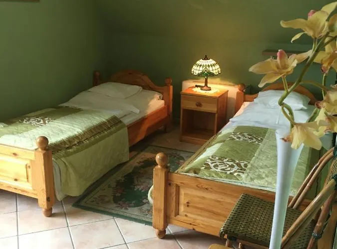 Feher Hattyu Panzio לינה וארוחת בוקר 4*