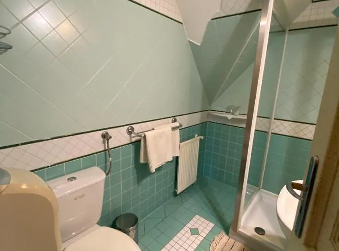 Bed & Breakfast Feher Hattyu Panzio Orosháza