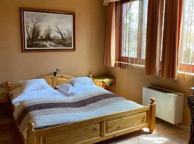 Feher Hattyu Panzio לינה וארוחת בוקר Orosháza