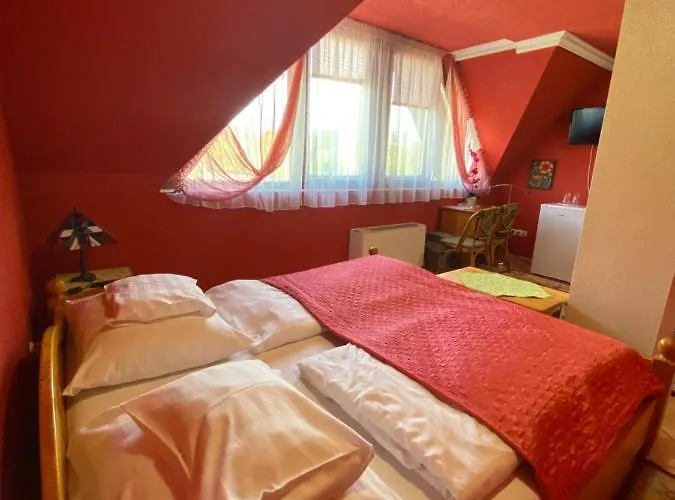 Feher Hattyu Panzio 4* Orosháza