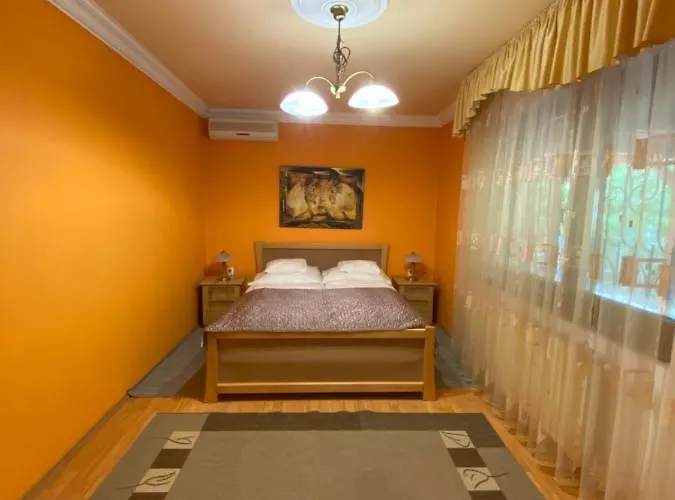 לינה וארוחת בוקר Feher Hattyu Panzio Orosháza