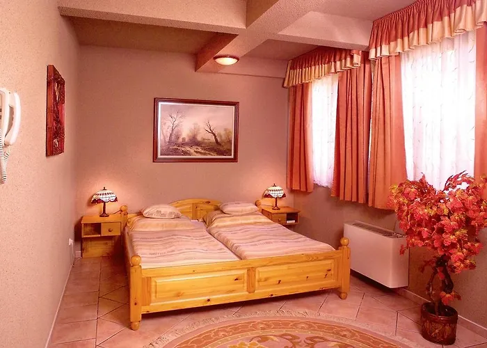 לינה וארוחת בוקר Feher Hattyu Panzio 4*