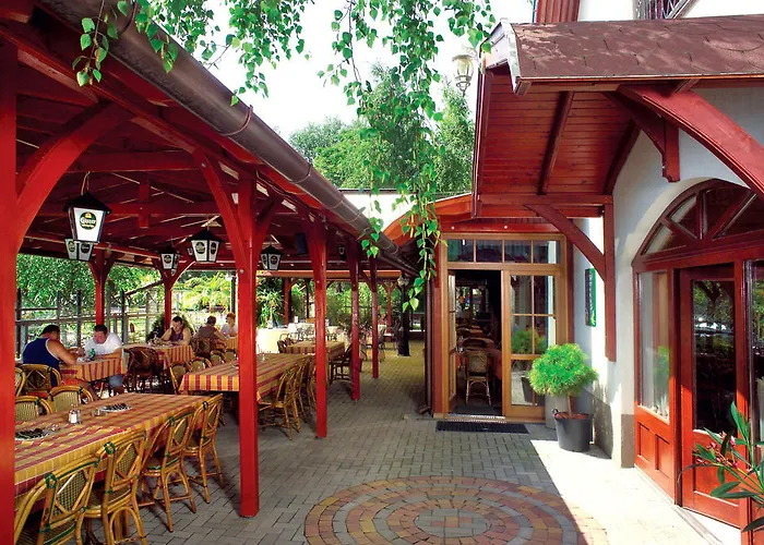 לינה וארוחת בוקר Feher Hattyu Panzio 4*